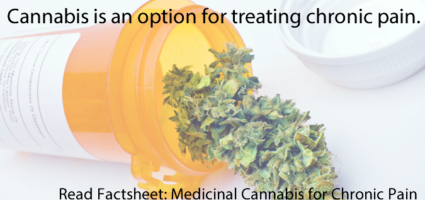 Medicinal Cannabis 